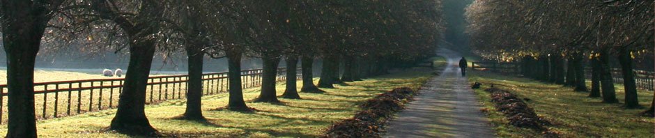 Greenhill blogg